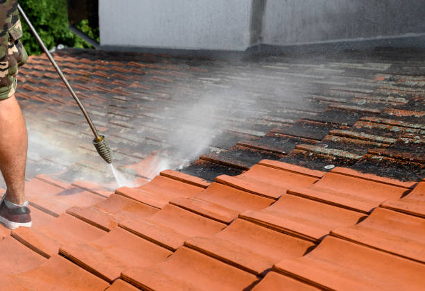 Best Affordable Power Washing  in Visalia, CA