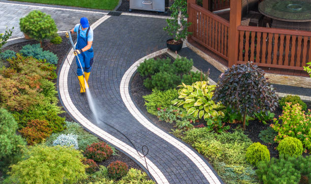 Best Local Pressure Washing Services  in Visalia, CA